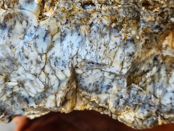Dendritic Opal  rough.  DOR274
