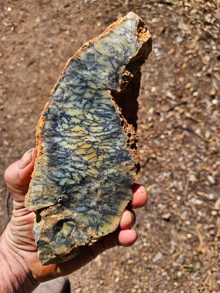 Dendritic Opal  rough.  DOR275