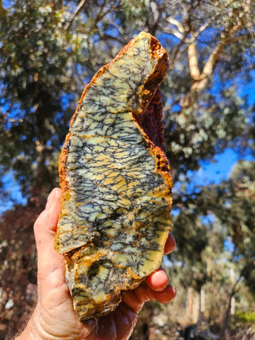 Dendritic Opal  rough.  DOR275