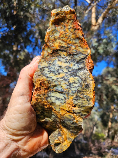 Dendritic Opal  rough.  DOR275