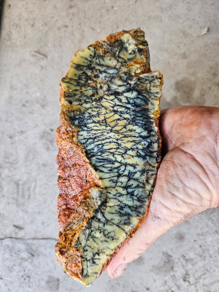 Dendritic Opal  rough.  DOR275
