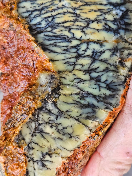 Dendritic Opal  rough.  DOR275