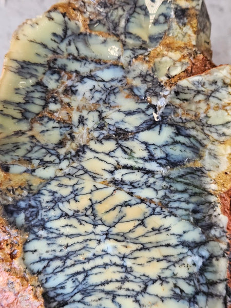 Dendritic Opal  rough.  DOR275