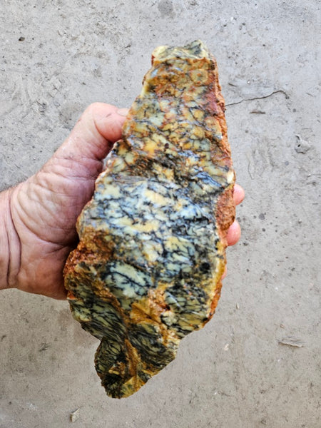 Dendritic Opal  rough.  DOR275