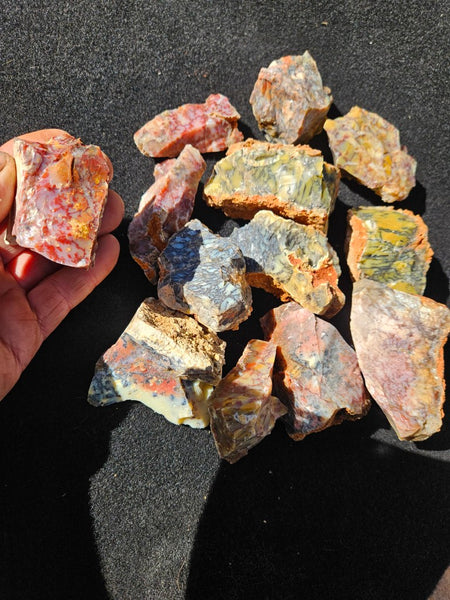 Dendritic Opal  rough.  DOR273
