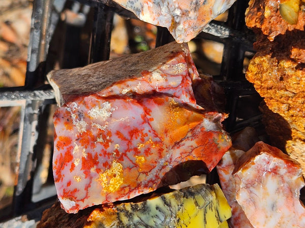 Dendritic Opal  rough.  DOR273