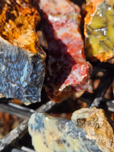 Dendritic Opal  rough.  DOR273