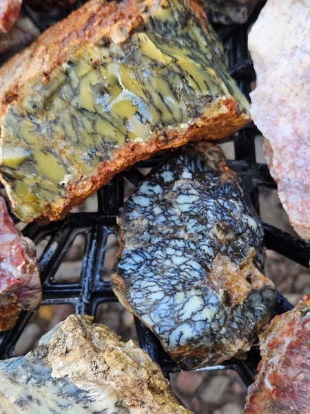 Dendritic Opal  rough.  DOR273