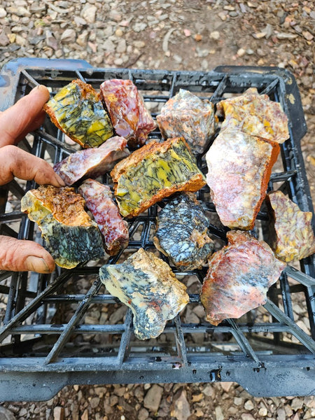 Dendritic Opal  rough.  DOR273
