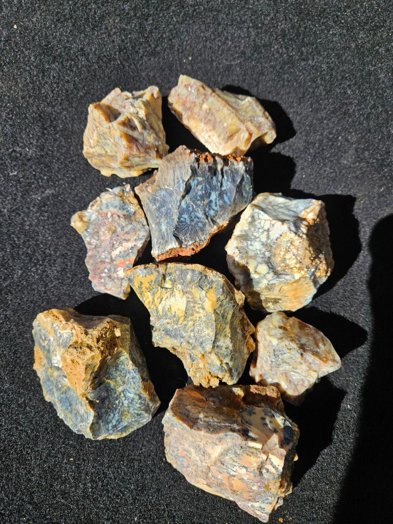 Dendritic Opal  rough.  DOR272