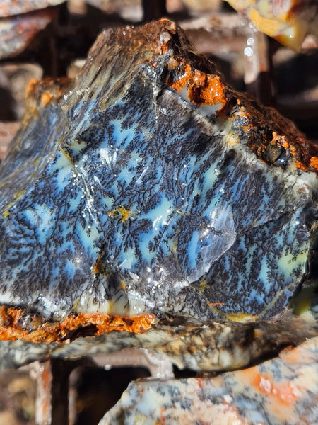 Dendritic Opal  rough.  DOR272