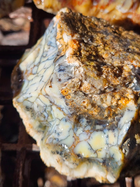 Dendritic Opal  rough.  DOR272