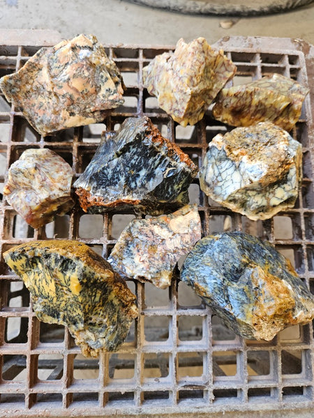 Dendritic Opal  rough.  DOR272