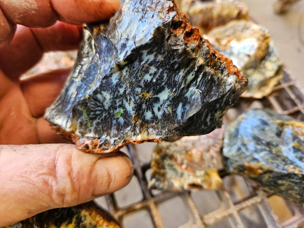 Dendritic Opal  rough.  DOR272