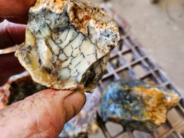 Dendritic Opal  rough.  DOR272