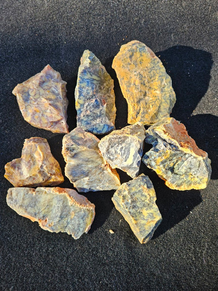 Dendritic Opal  rough.  DOR277