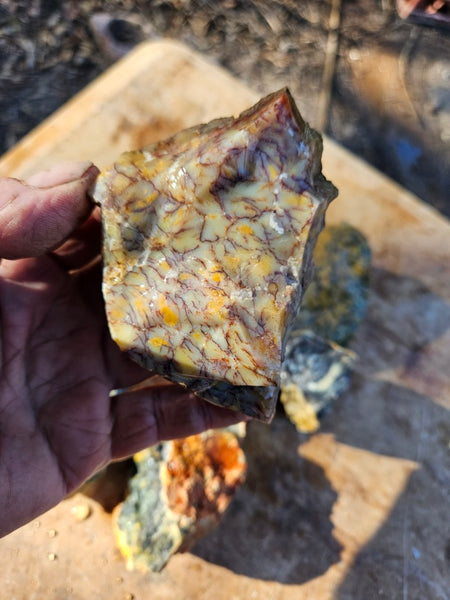 Dendritic Opal  rough.  DOR277
