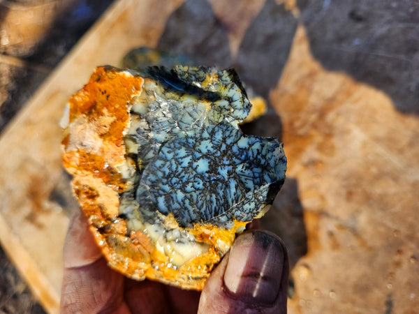 Dendritic Opal  rough.  DOR277