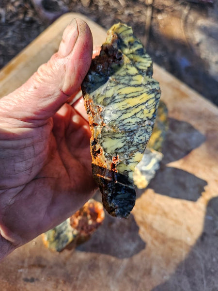Dendritic Opal  rough.  DOR277