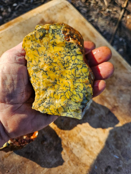 Dendritic Opal  rough.  DOR277