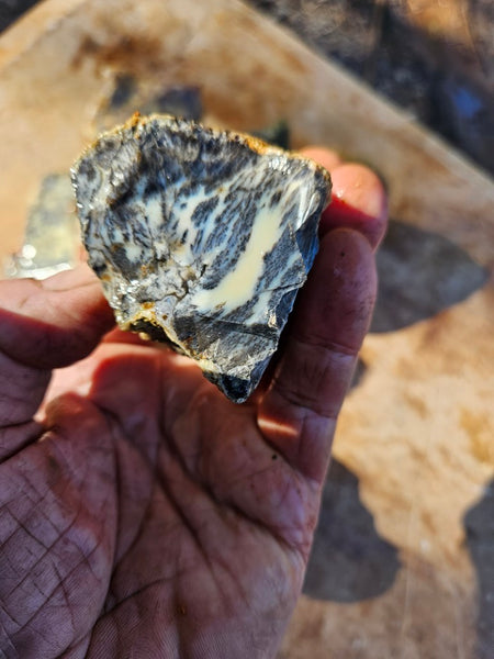 Dendritic Opal  rough.  DOR277