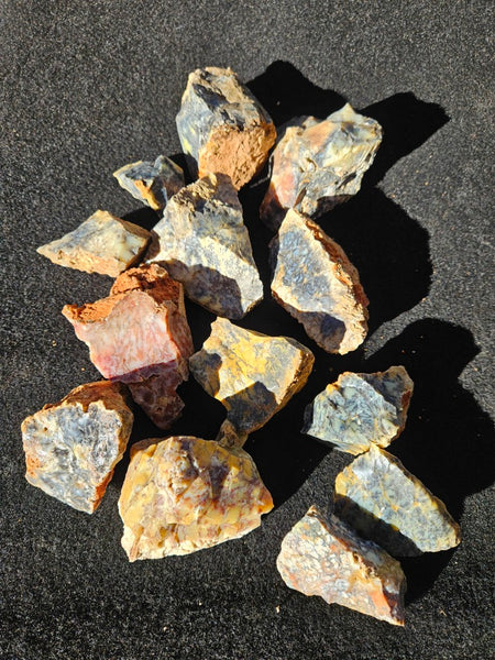 Dendritic Opal  rough.  DOR278