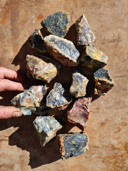 Dendritic Opal  rough.  DOR278