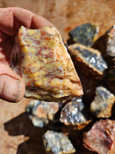 Dendritic Opal  rough.  DOR278