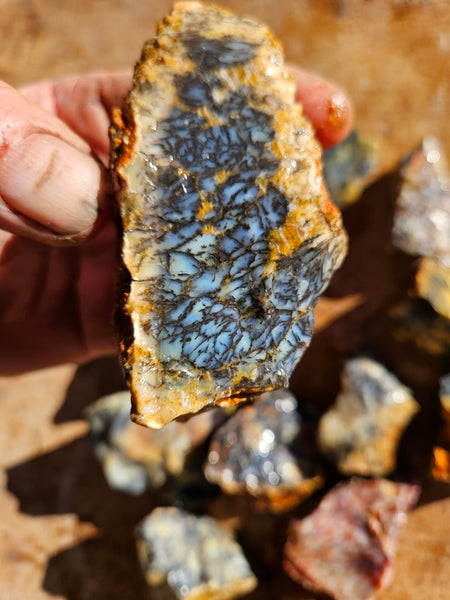 Dendritic Opal  rough.  DOR278