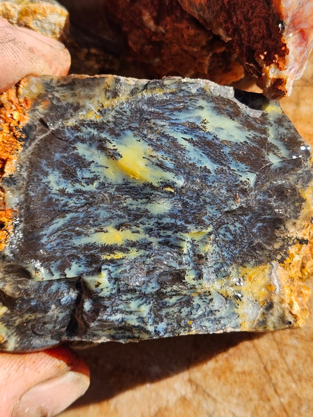 Dendritic Opal  rough.  DOR278