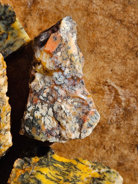 Dendritic Opal  rough.  DOR278