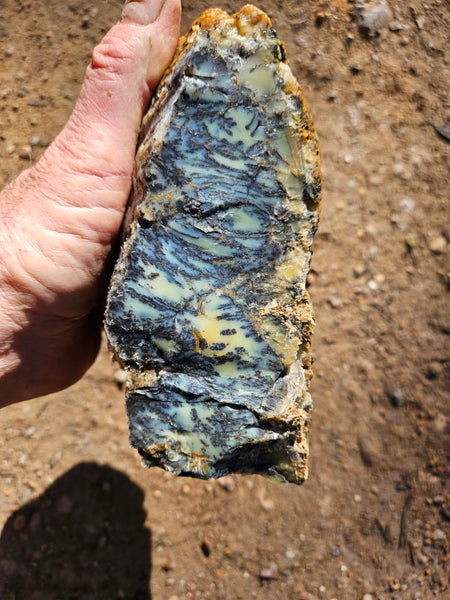 Dendritic Opal  rough.  DOR276