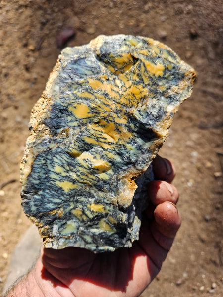 Dendritic Opal  rough.  DOR276