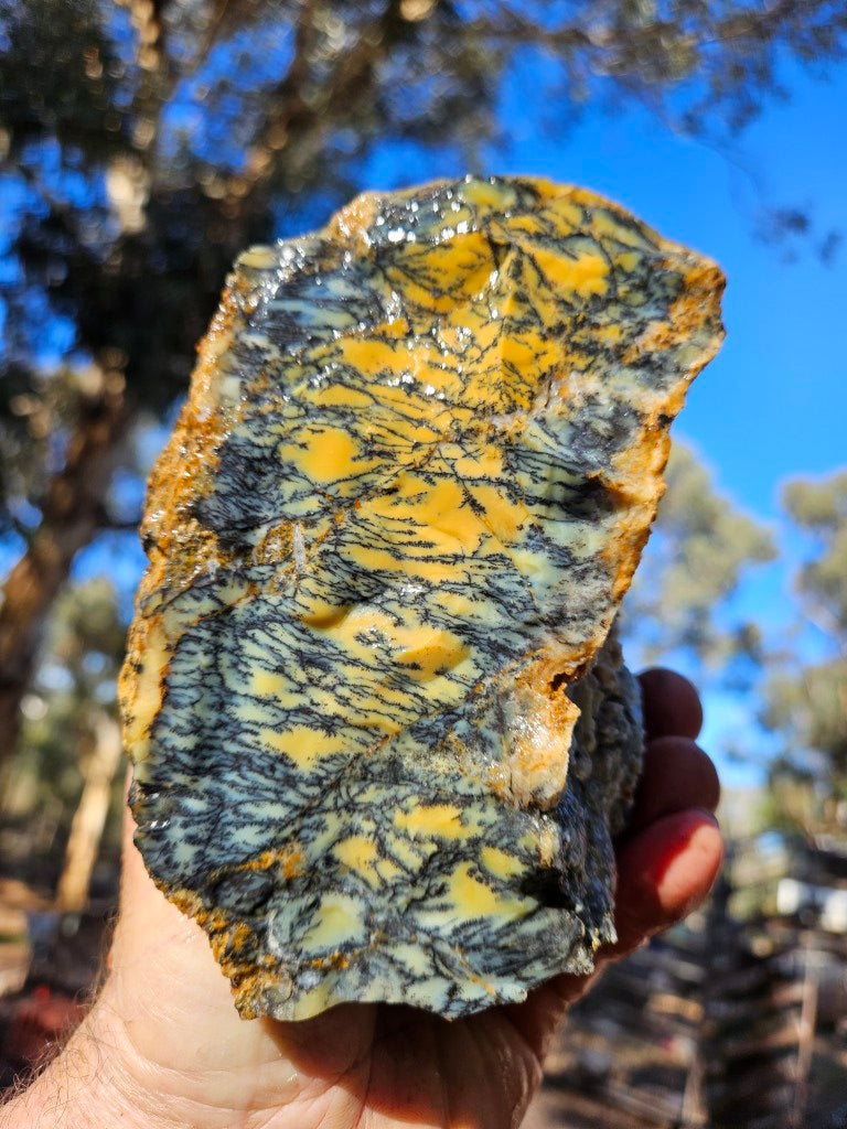Dendritic Opal  rough.  DOR276