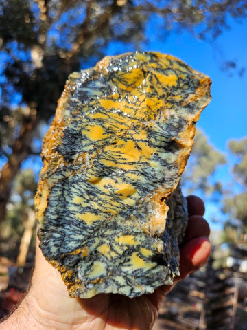 Dendritic Opal  rough.  DOR276