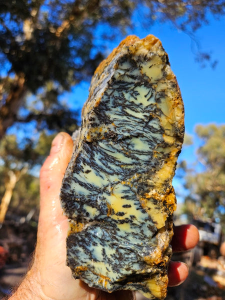 Dendritic Opal  rough.  DOR276