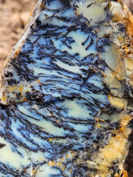 Dendritic Opal  rough.  DOR276