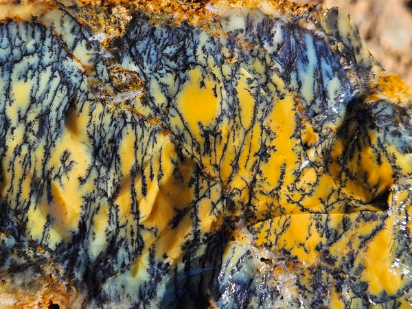 Dendritic Opal  rough.  DOR276