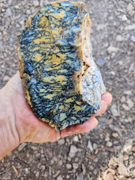 Dendritic Opal  rough.  DOR276