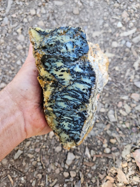 Dendritic Opal  rough.  DOR276