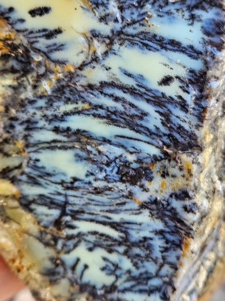 Dendritic Opal  rough.  DOR276