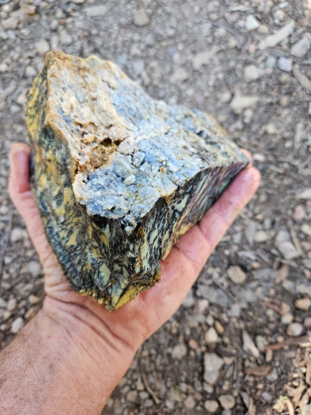 Dendritic Opal  rough.  DOR276