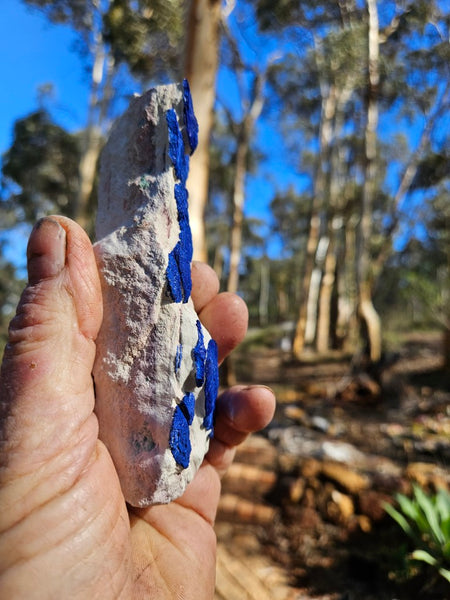 Azurite Sun  AZ199