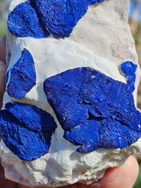 Azurite Sun  AZ199