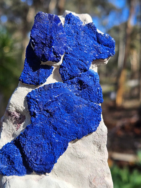 Azurite Sun  AZ199