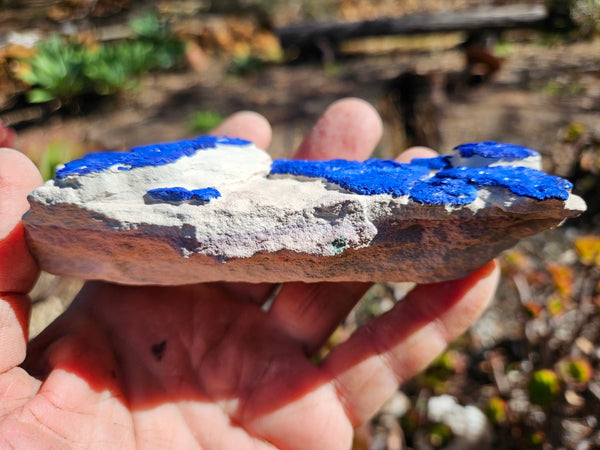 Azurite Sun  AZ199