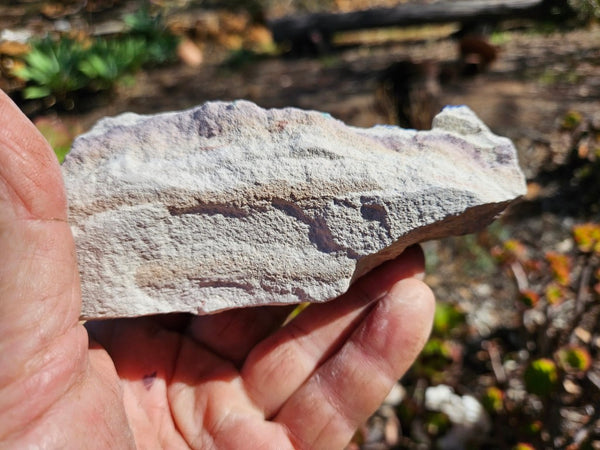 Azurite Sun  AZ199