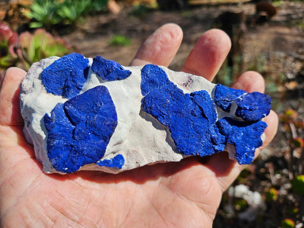 Azurite Sun  AZ199