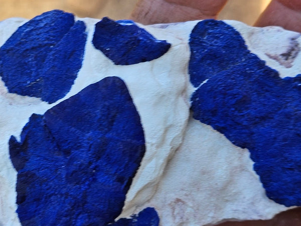 Azurite Sun  AZ199