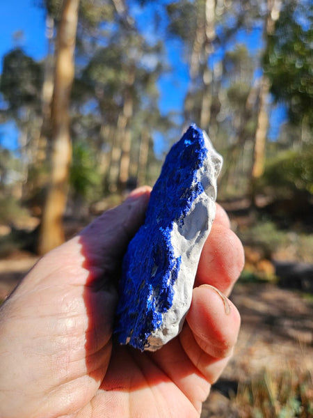 Azurite Sun  AZ198